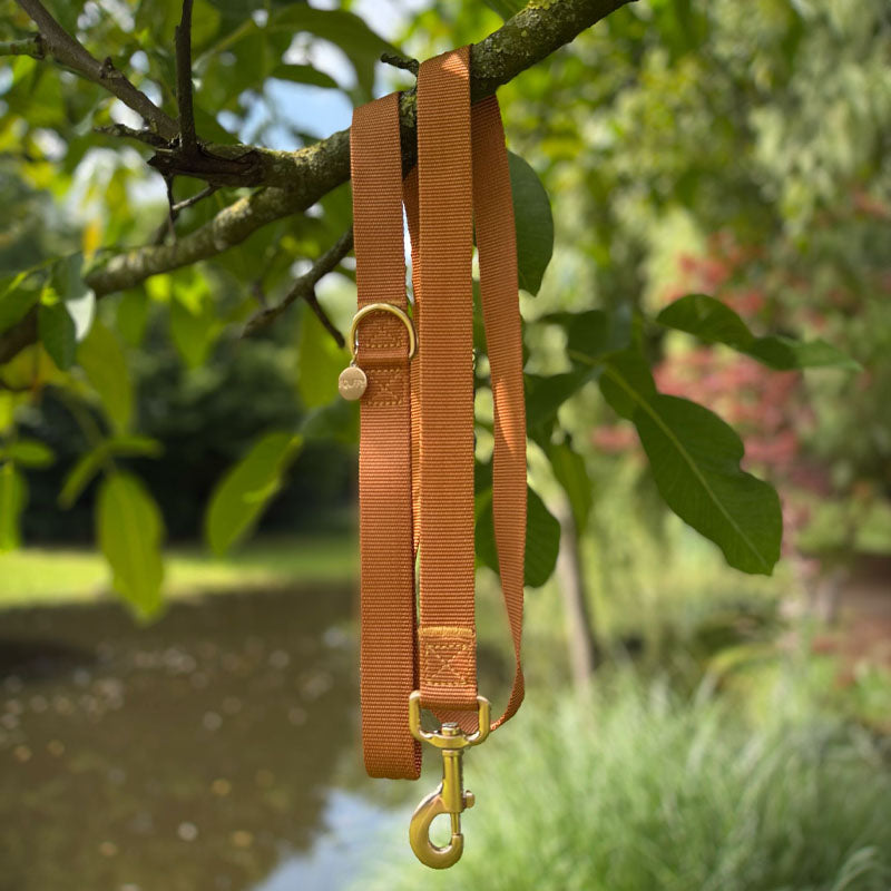 Classic Dog Leash Honey Drift Cognac Brown