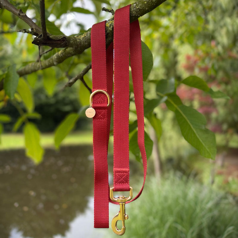 Classic Dog Leash Ruby Gale Ruby Red