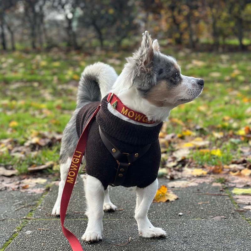 Classic Dog Collar Ruby Gale Ruby Red