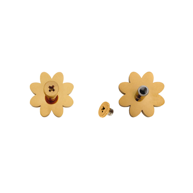 Daisy Flower