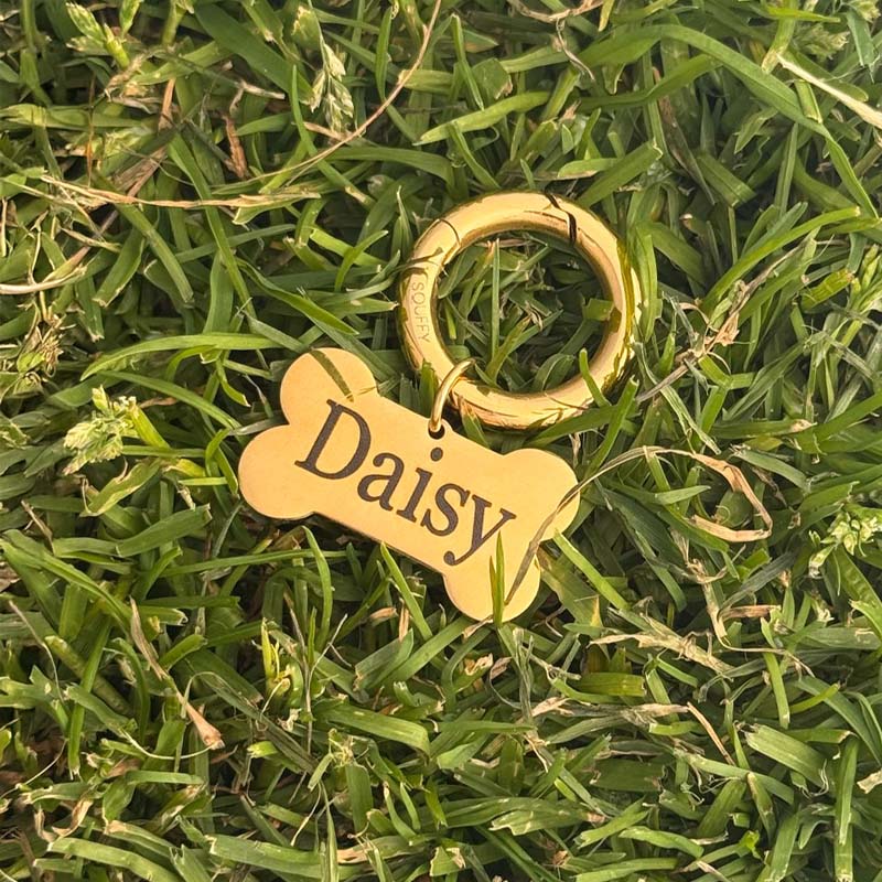 Engraved Bone Dog Tag