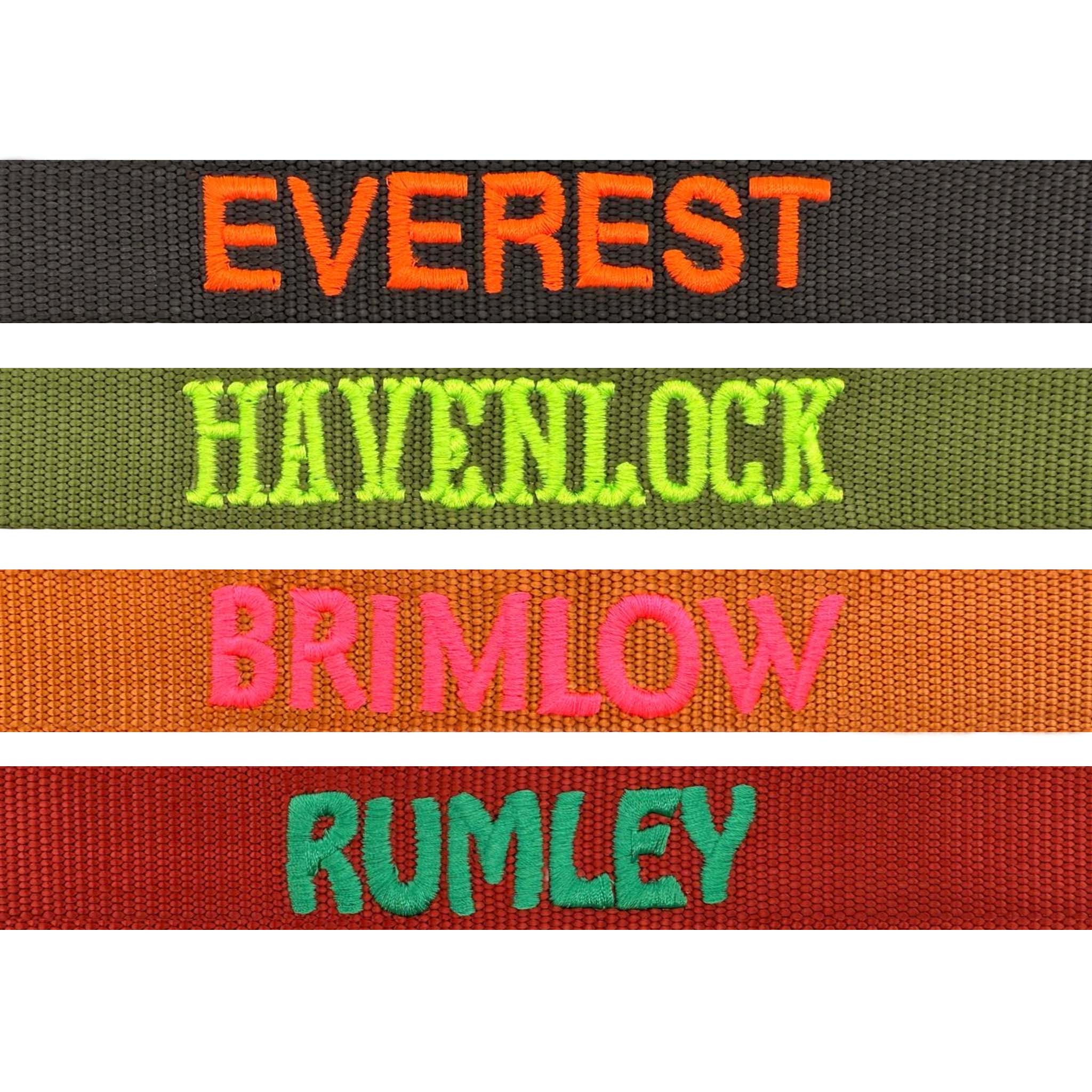 Tactical Dog Collar Ruby Vandal Ruby Red