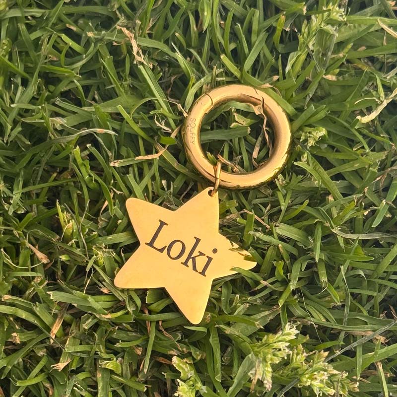 Engraved Star Dog Tag