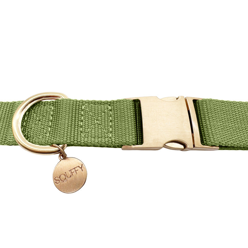 Classic Dog Collar Moss Breeze Olive Green