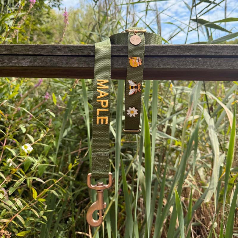 Classic Dog Leash Moss Breeze Olive Green