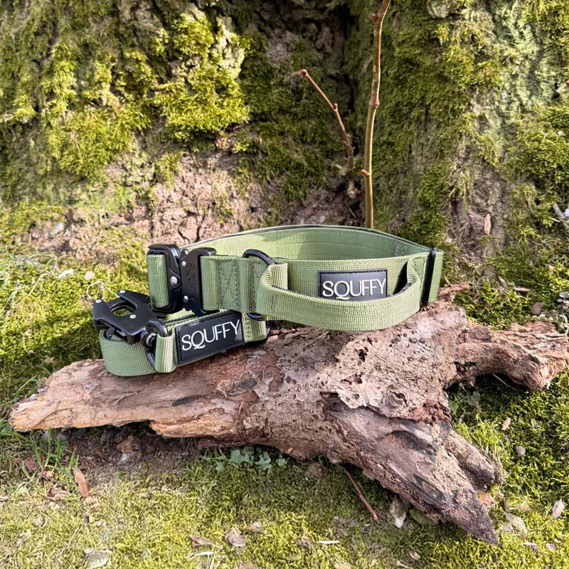 Tactical Dog Collar Moss Forge Olive Green