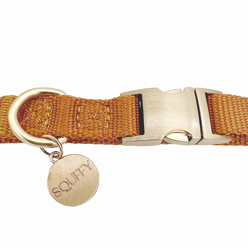 Puppy Dog Collar Honey Drift Cognac Brown