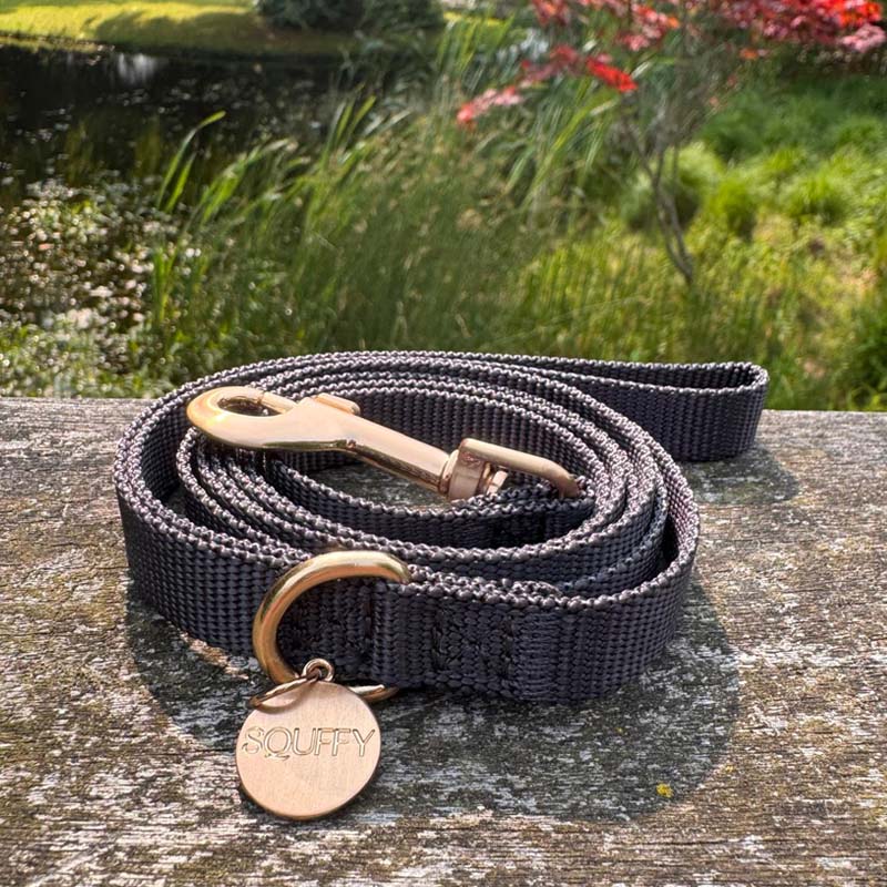 Puppy Dog Leash Raven Illume Midnight Black