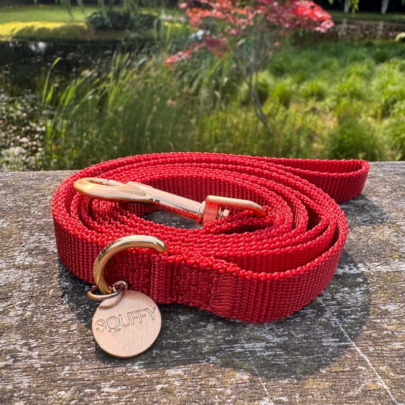 Puppy Dog Leash Ruby Gale Ruby Red