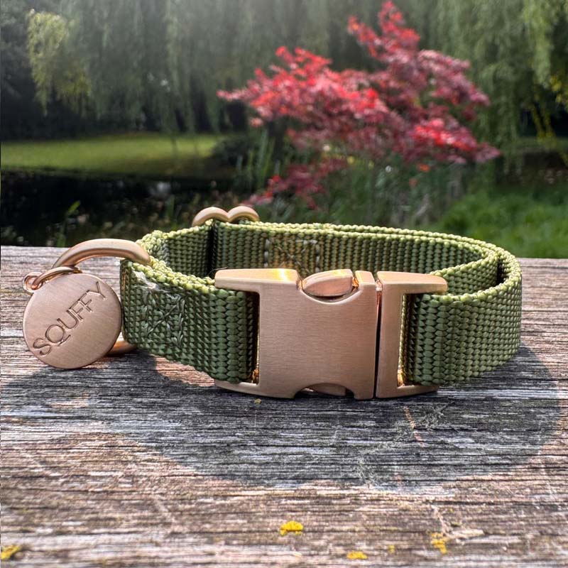 Puppy Dog Collar Moss Breeze Olive Green