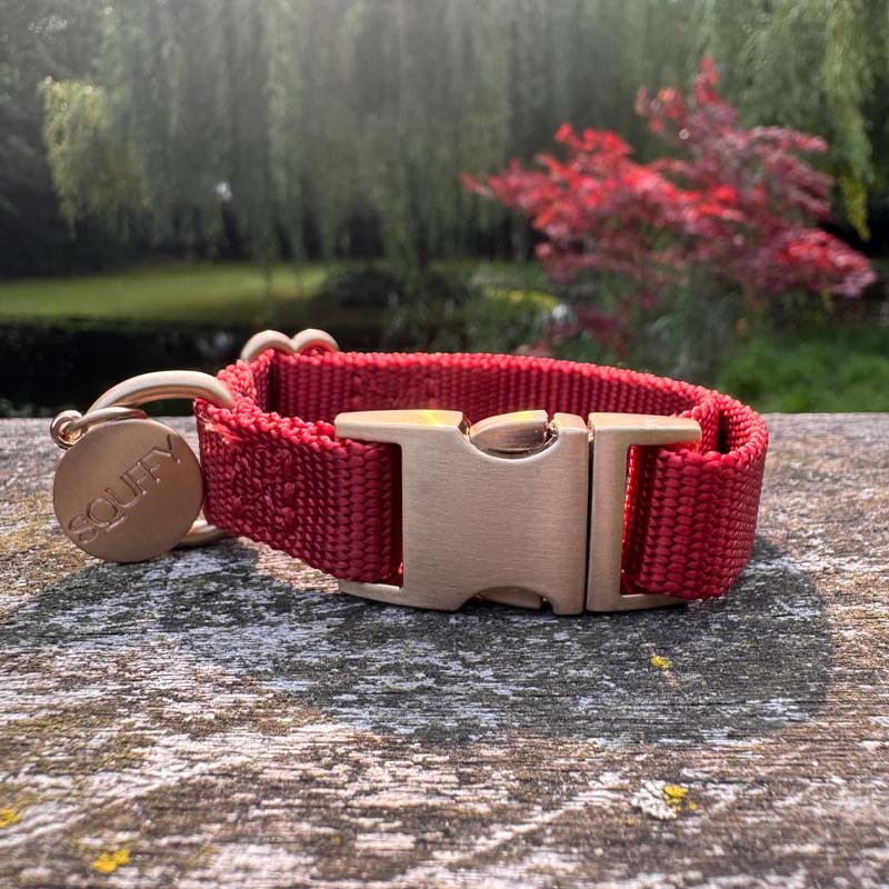 Puppy Dog Collar Ruby Gale Ruby Red