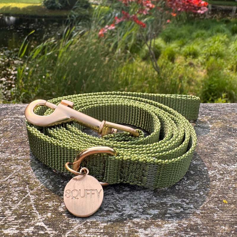 Puppy Dog Leash Moss Breeze Olive Green