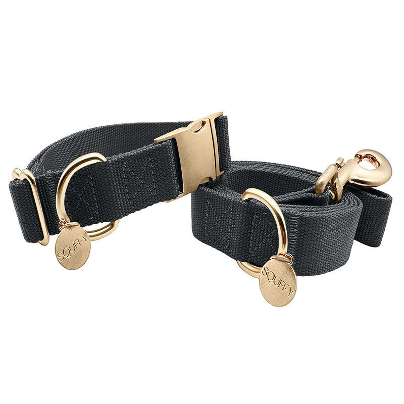 Classic Dog Collar Raven Illume Midnight Black