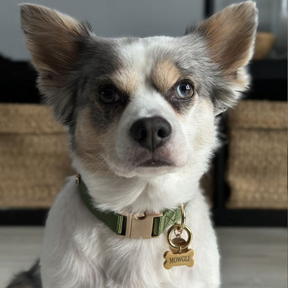 Engraved Bone Dog Tag