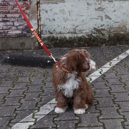 Puppy Dog Collar Ruby Gale Ruby Red