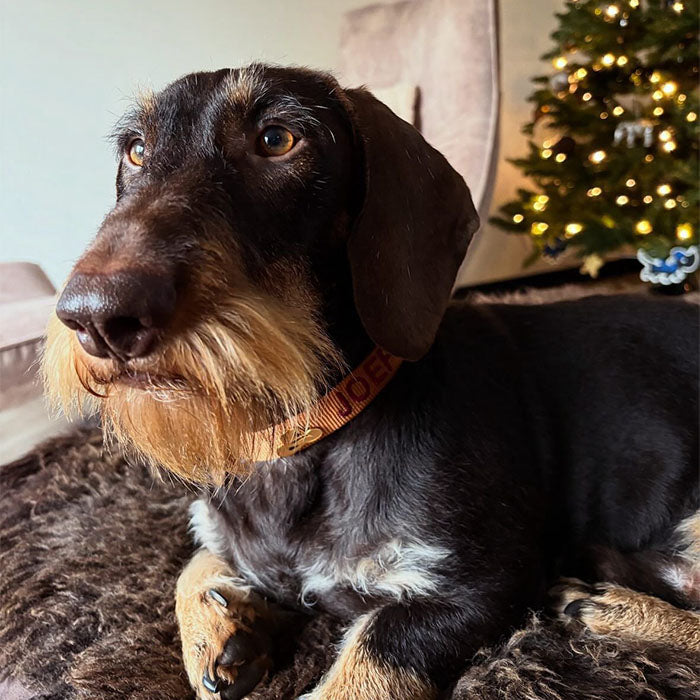 <p>Customer Experiences</p>