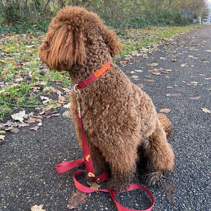 Classic Dog Leash Ruby Gale Ruby Red