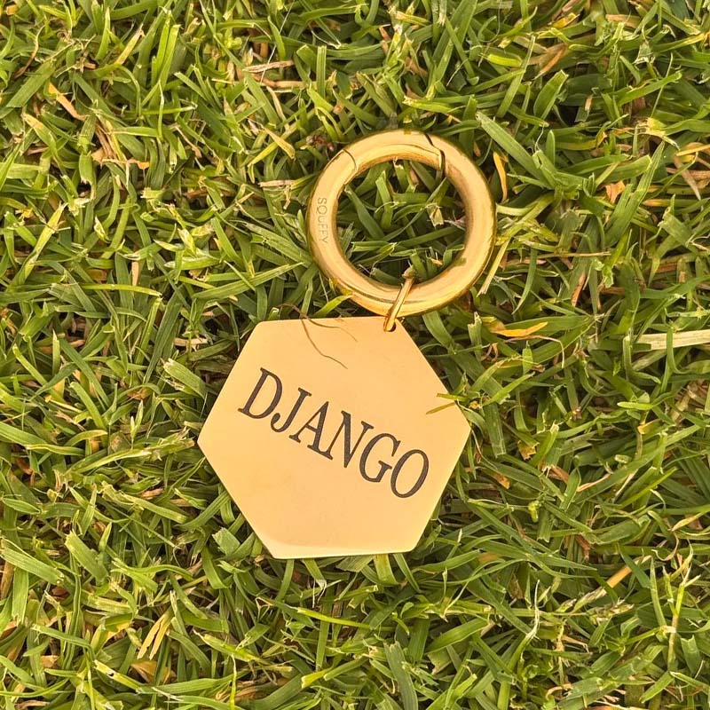 Engraved Hexagon Dog Tag