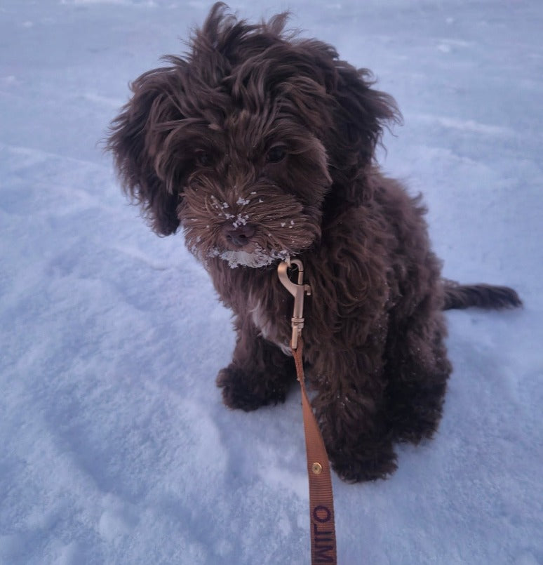 <p>Customer reviews</p>