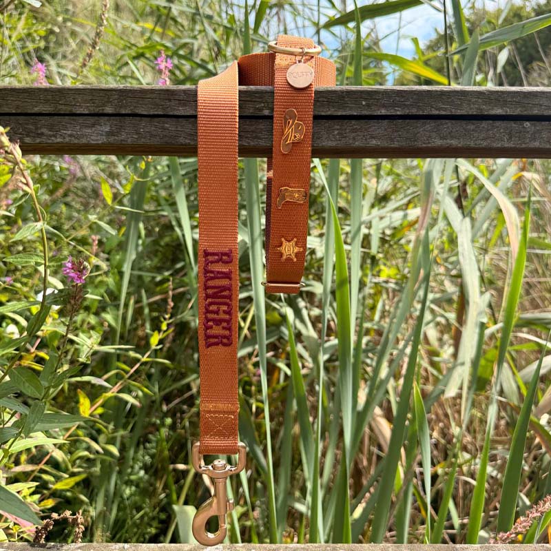Classic Dog Leash Honey Drift Cognac Brown