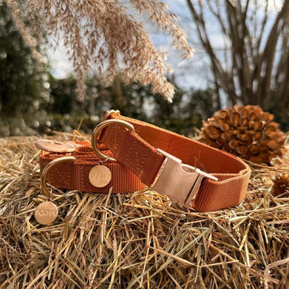 Classic Dog Collar Honey Drift Cognac Brown