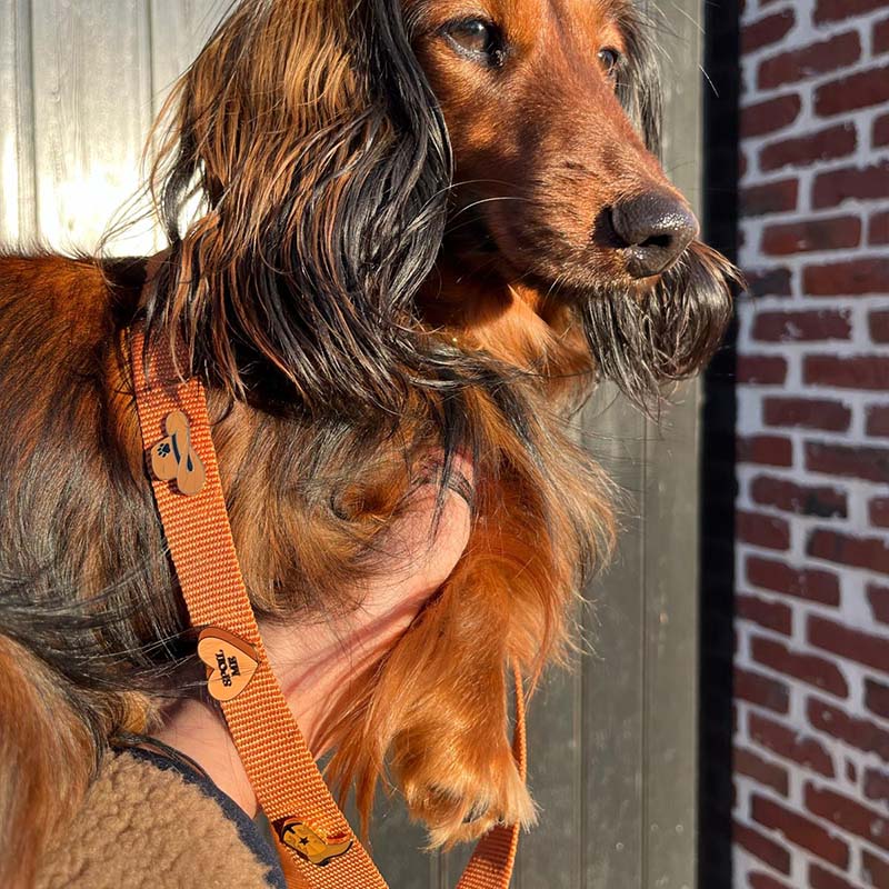 <p>Customer reviews</p>