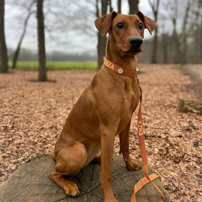 <p>Customer reviews</p>