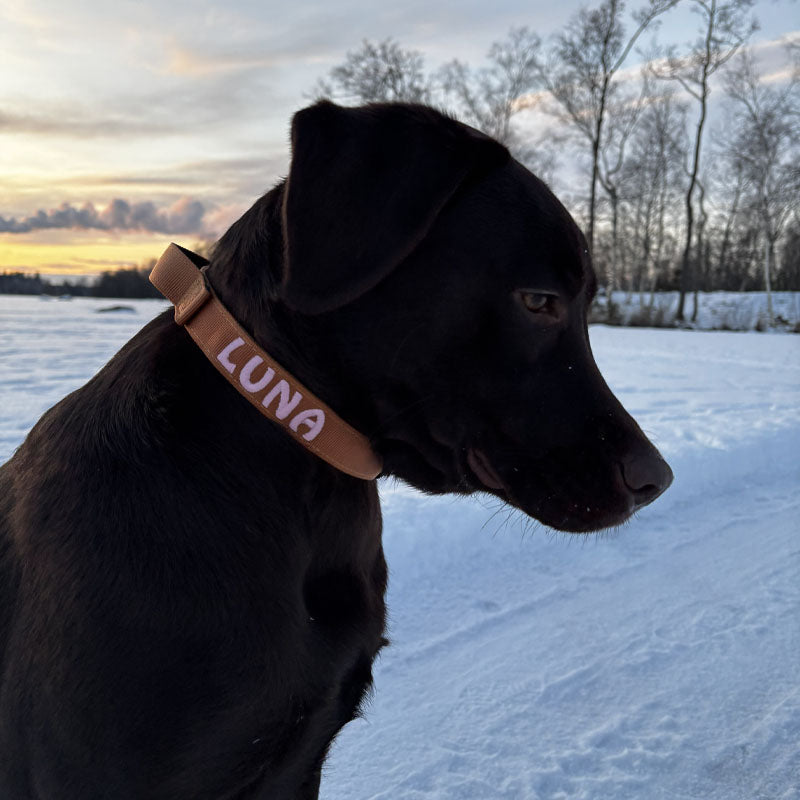 Tactical Dog Collar Honey Maze Cognac Brown