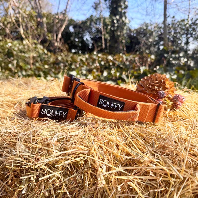 Tactical Dog Collar Honey Maze Cognac Brown