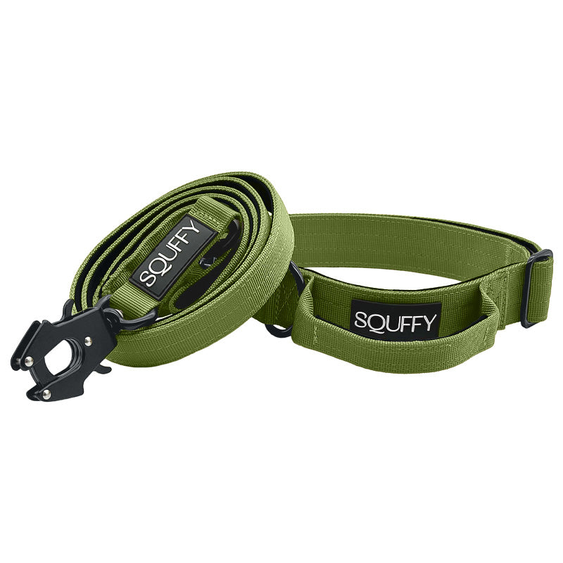 Tactical Dog Collar Moss Forge Olive Green