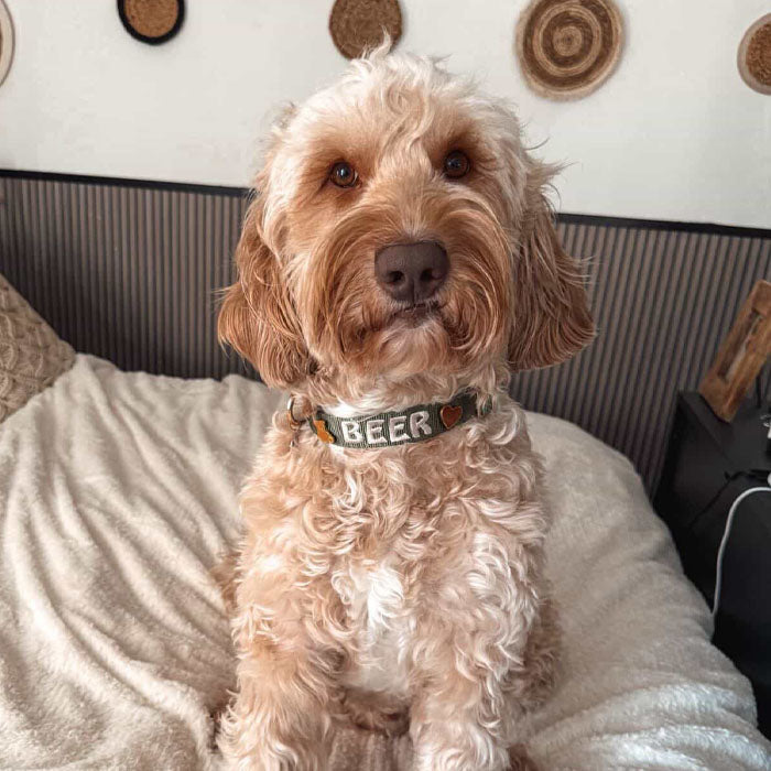 <p>Customer reviews</p>