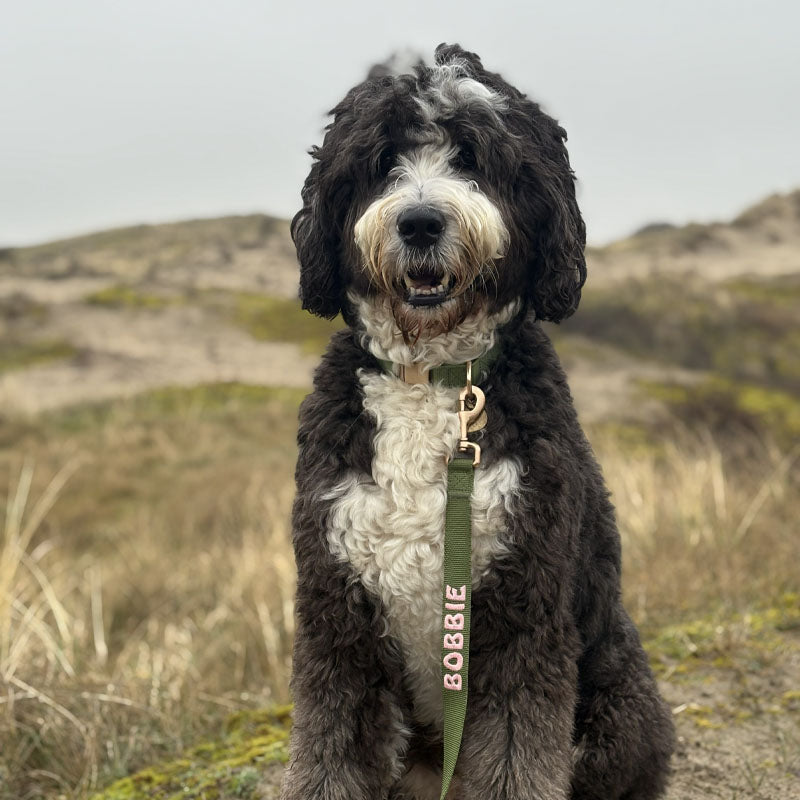 <p>Customer reviews</p>