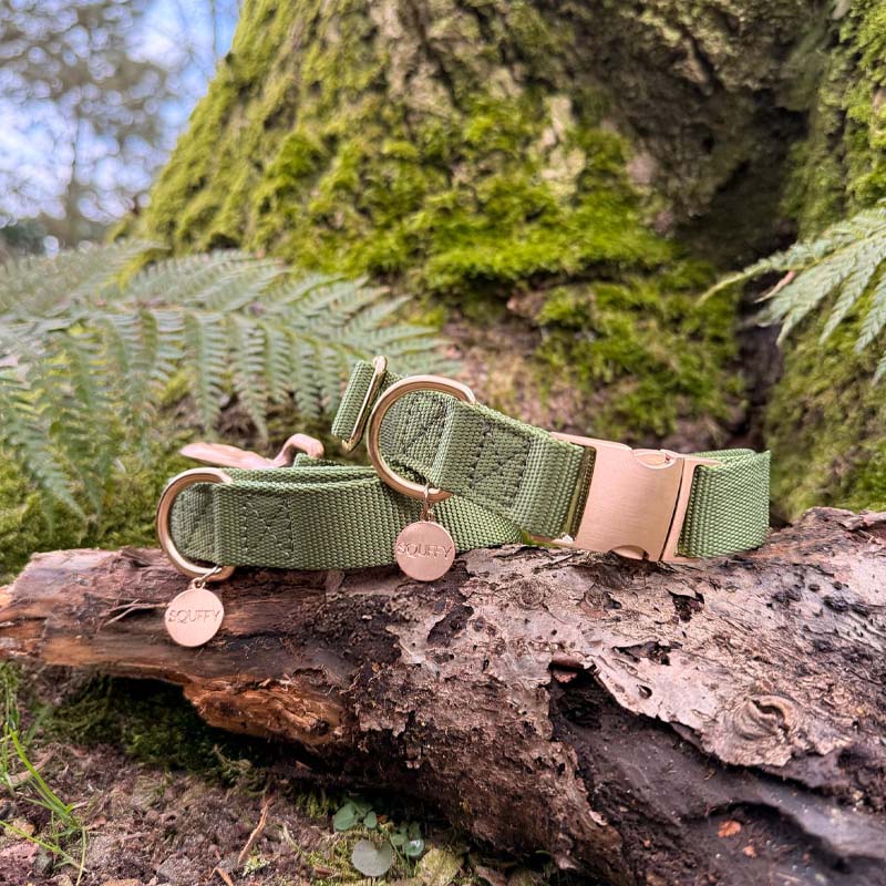Classic Dog Collar Moss Breeze Olive Green