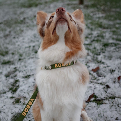 Classic Dog Collar Moss Breeze Olive Green