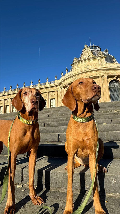 <p>Customer Experiences</p>