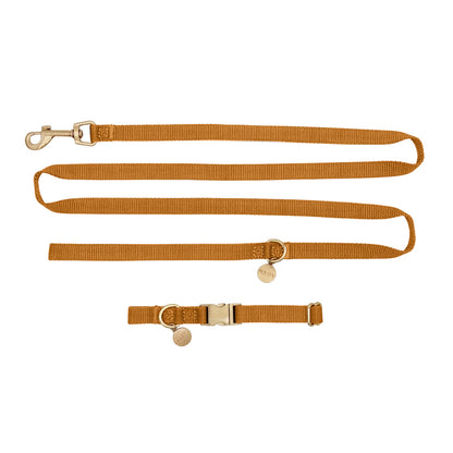 Puppy Dog Collar Honey Drift Cognac Brown