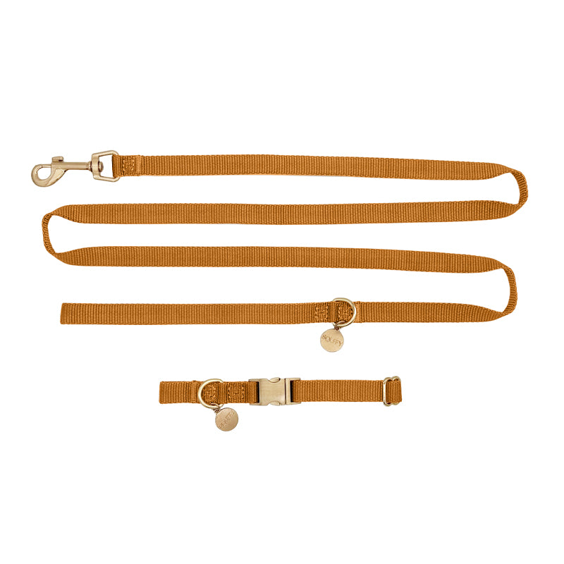 Puppy Dog Collar Honey Drift Cognac Brown