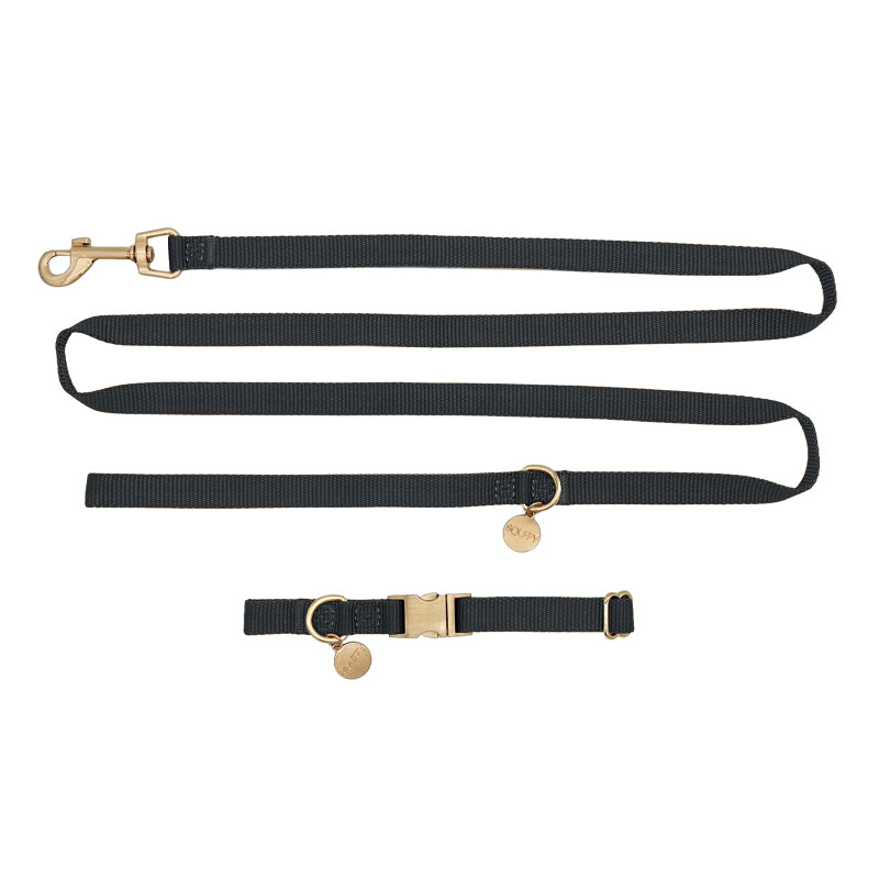 Puppy Dog Collar Raven Illume Midnight Black