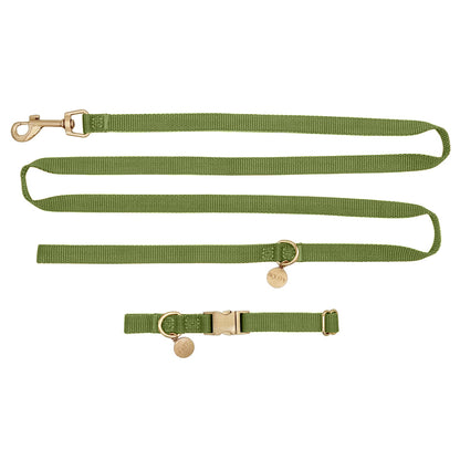 Puppy Dog Collar Moss Breeze Olive Green