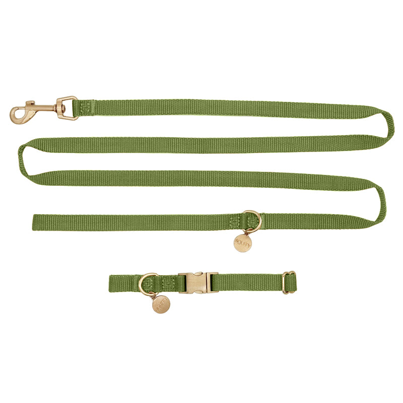 Puppy Dog Collar Moss Breeze Olive Green
