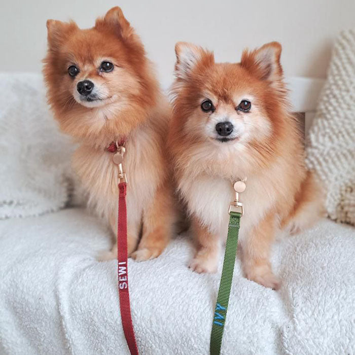 <p>Customer reviews</p>