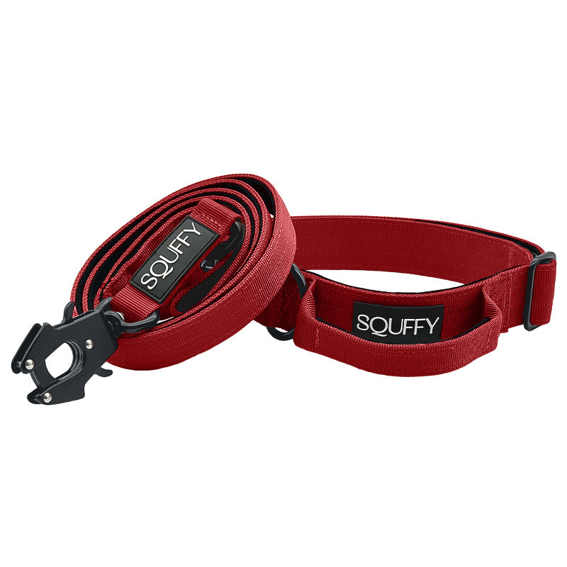 Tactical Dog Collar Ruby Vandal Ruby Red