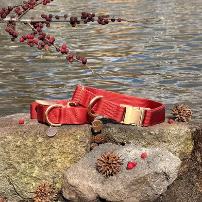 Classic Dog Collar Ruby Gale Ruby Red