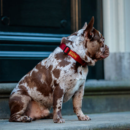 Tactical Dog Collar Ruby Vandal Ruby Red