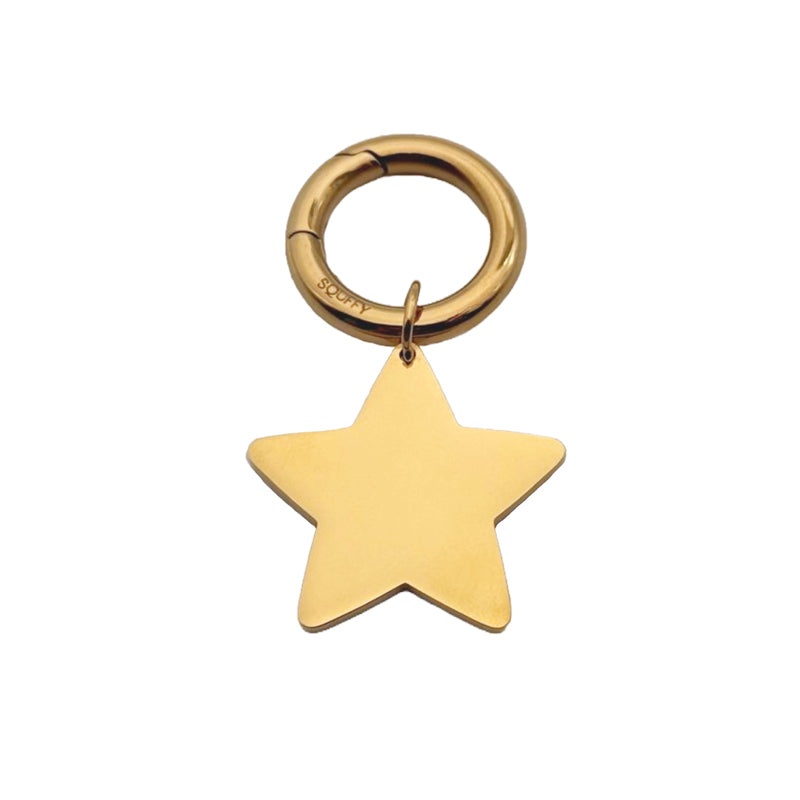Engraved Star Dog Tag