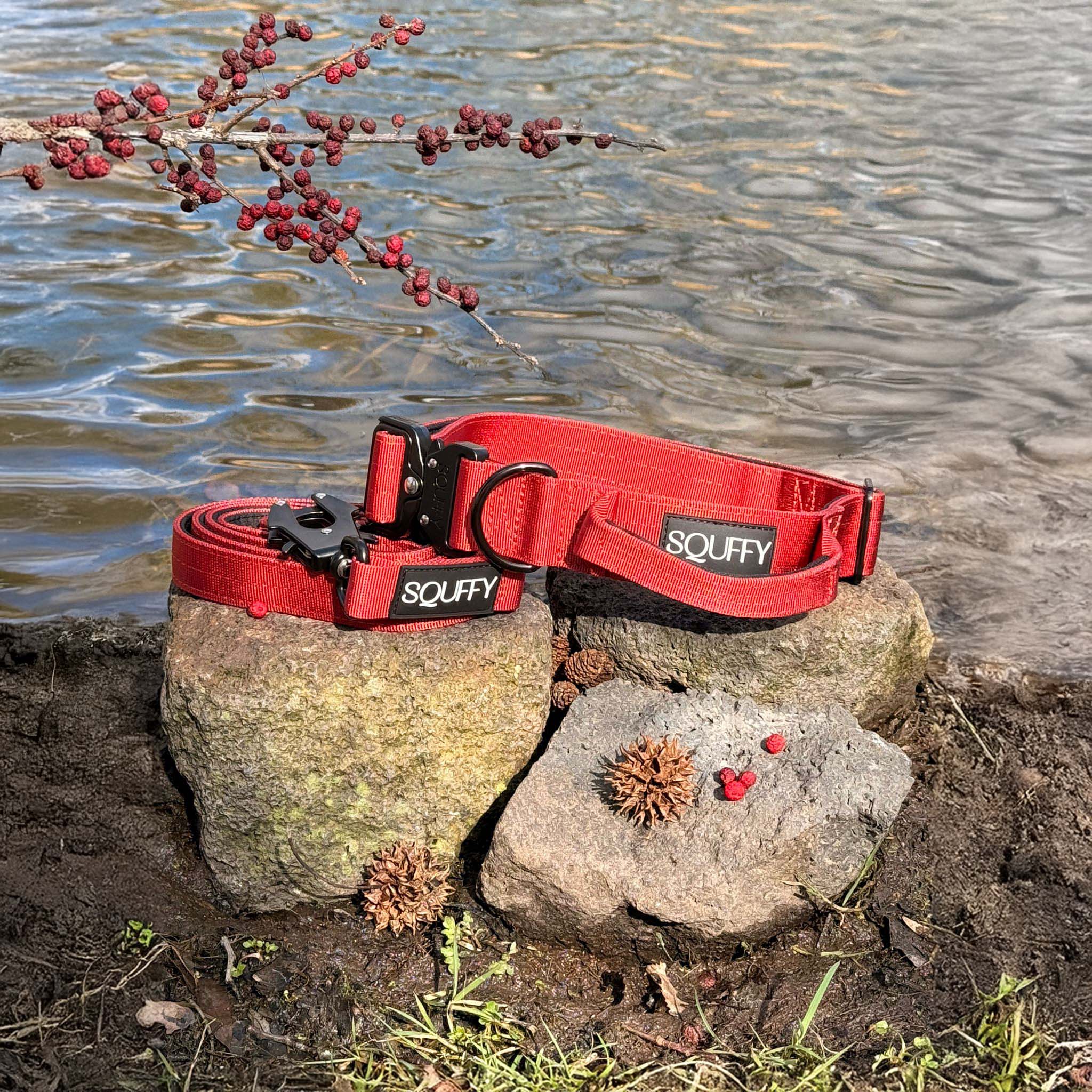 Tactical Dog Collar Ruby Vandal Ruby Red