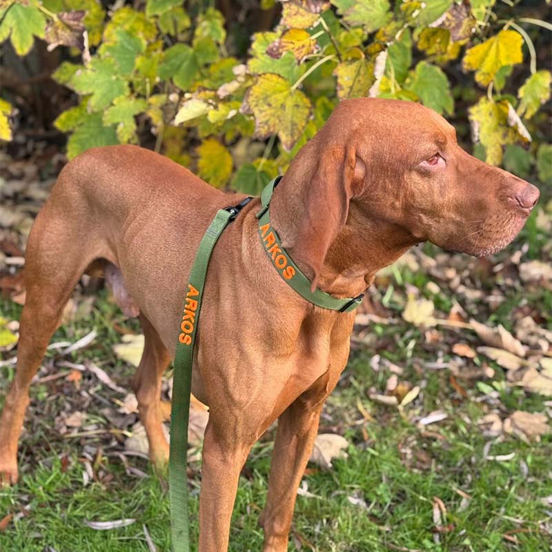 Tactical Dog Leash Moss Forge Olive Green