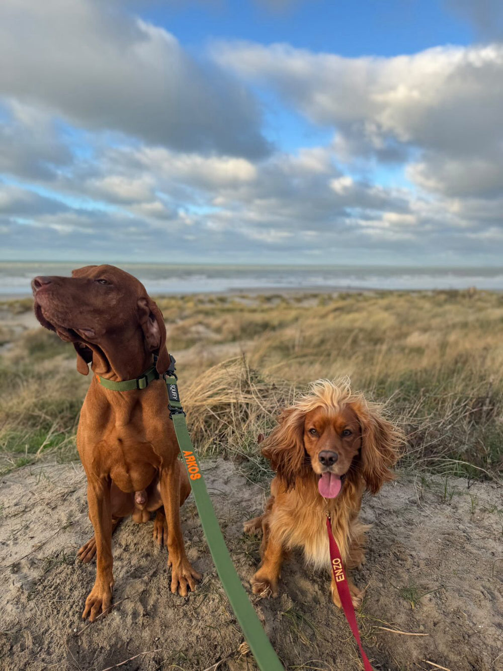 <p>Customer Experiences</p>