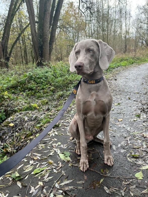 <p>Customer Experiences</p>