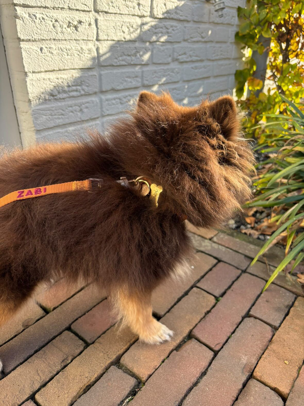 <p>Customer Experiences</p>